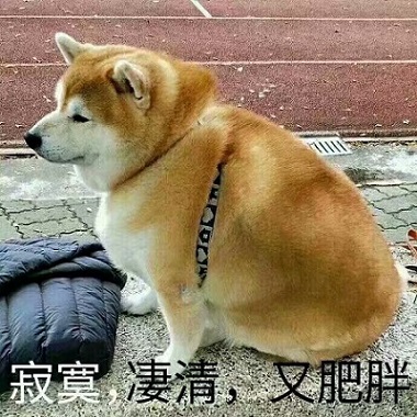 抖音碳水寄生虫是什么意思_抖音碳水寄生虫含义详解