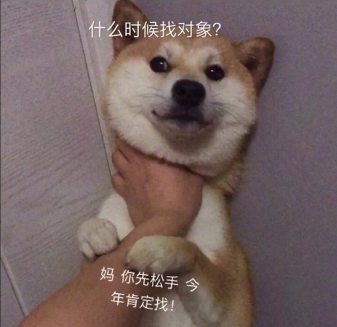 抖音什么时候找对象表情包_什么时候找对象掐猫掐狗表情包分享