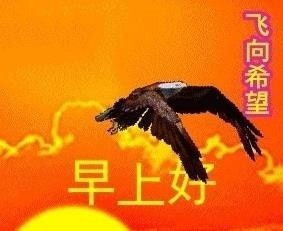 中老年表情包有什么_中老年表情包大全