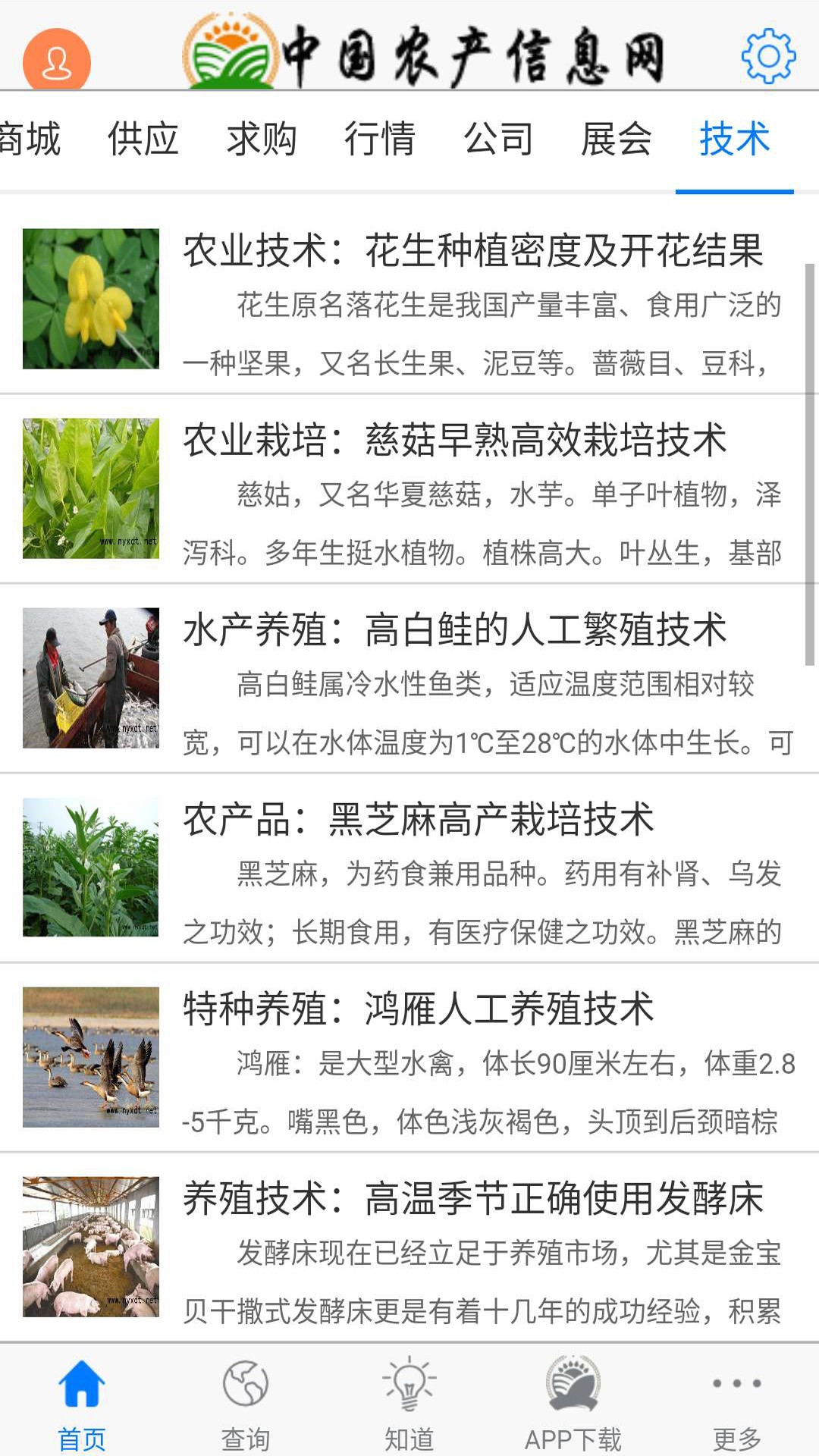 农产信息网(图4)