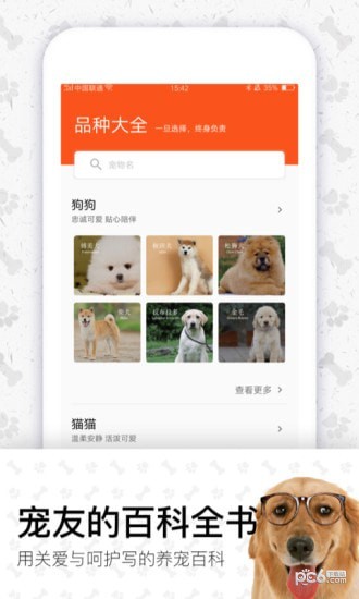 四只猫(图4)