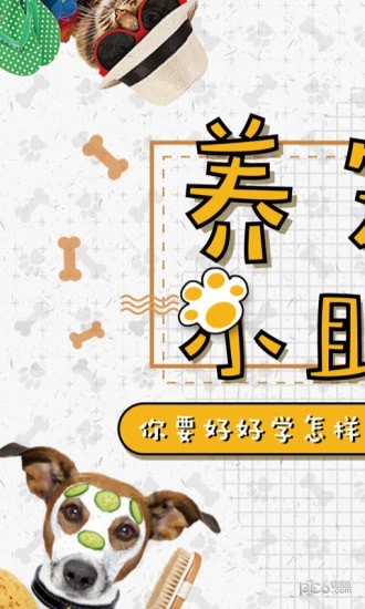 四只猫(图1)