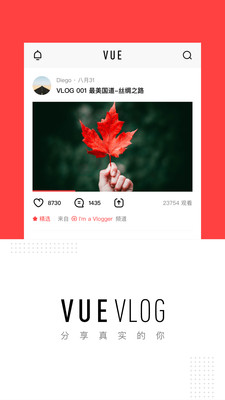 vuevlog(图1)