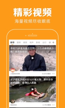 花生快讯(图4)