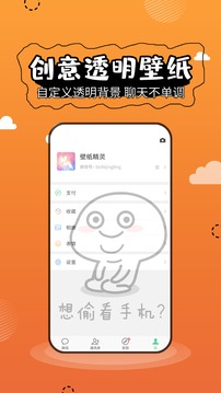 壁纸精灵免费版(图4)