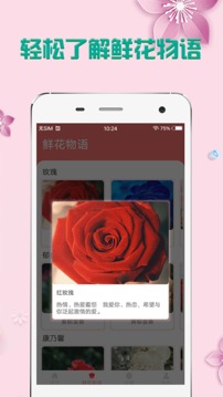 掌上花(图1)