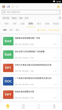 坏坏猫(图4)