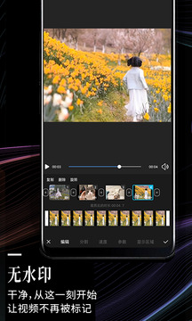 云美摄(图2)