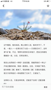 扑鹿(图5)