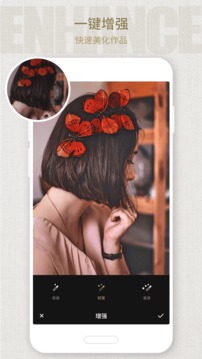 Fotor(图2)