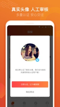 探探(图1)