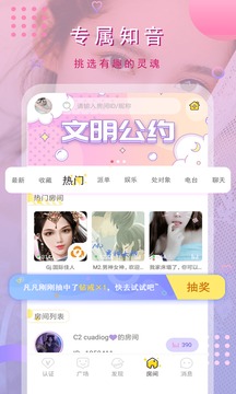 猫咪(图1)