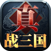 真·战三国ios