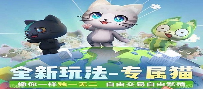 一起来捉妖应该怎么养猫？