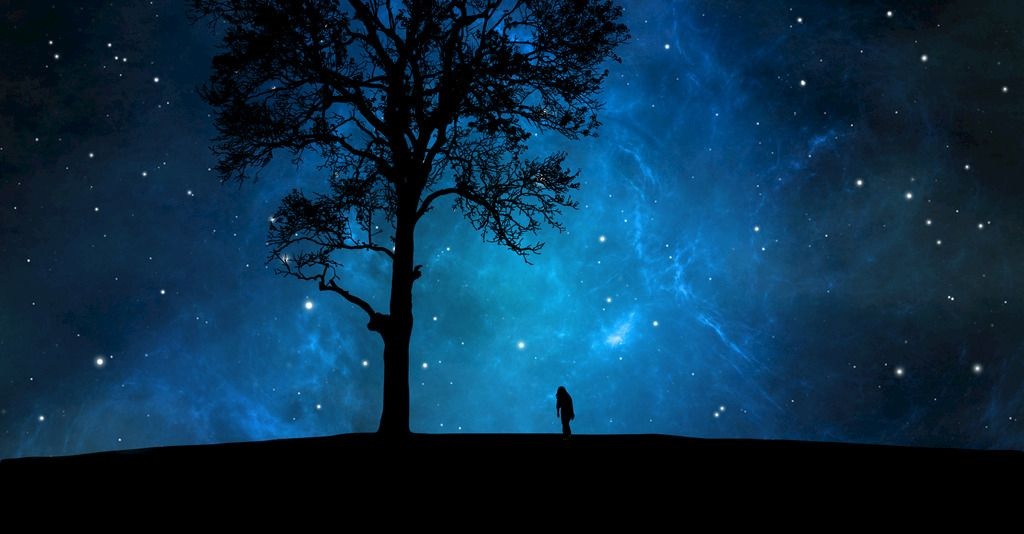 一直奔向月无法进入游戏怎么办？