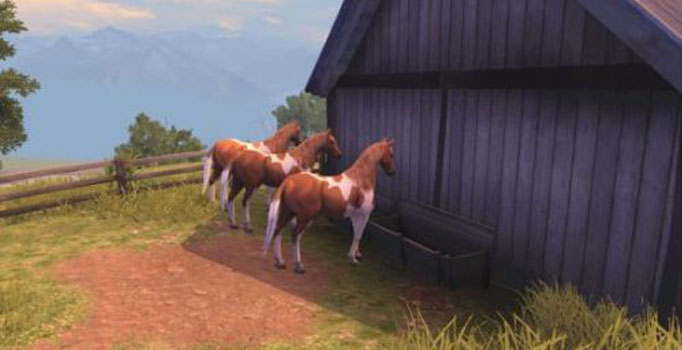 明日之后红杉镇有哪几种马？