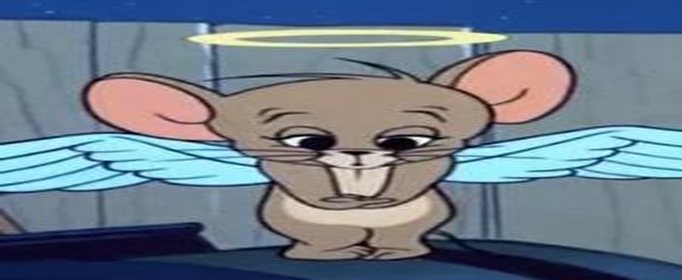 猫和老鼠天使杰瑞多少钱