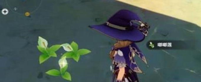 原神手游嘟嘟莲有什么用