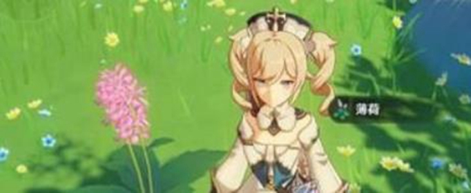 原神手游薄荷有什么用