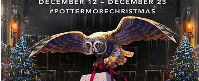 哈利波特手游冬青木魔杖有什么属性