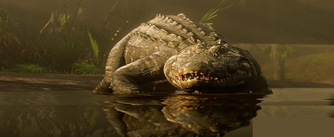 荒野大镖客2大容量背包怎么得