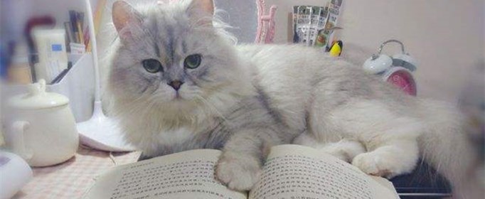 哪个看书的app免费又全