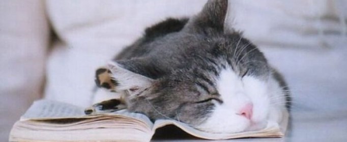 免费读书app哪个好用