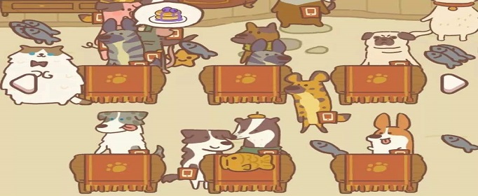 动物餐厅海德薇礼包兑换码