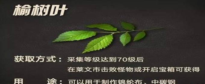 明日之后榆树叶怎么获得