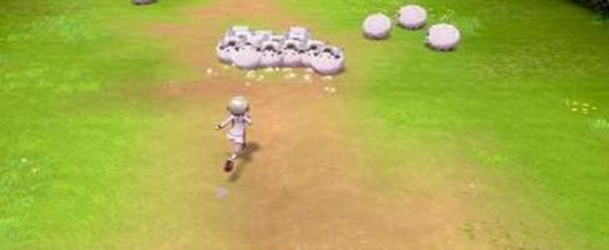 宝可梦剑盾爆焰龟兽怎么捕捉