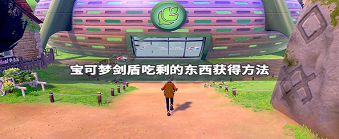 宝可梦剑盾吃剩的东西怎么获得