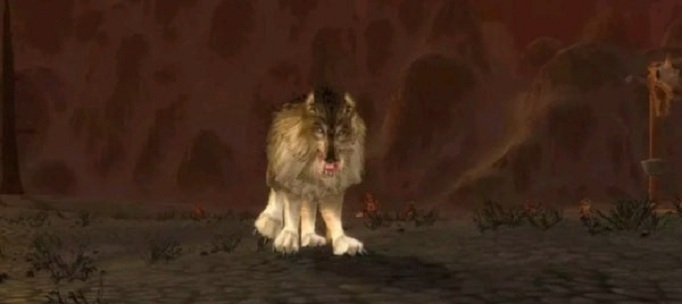 魔兽世界怀旧服狼学什么技能好