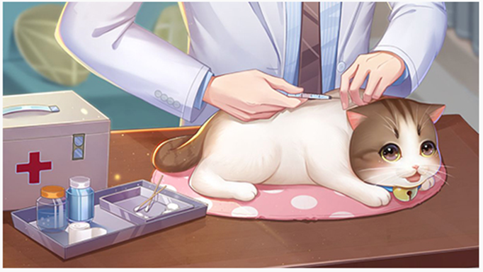 喵与筑怎么和小猫互动