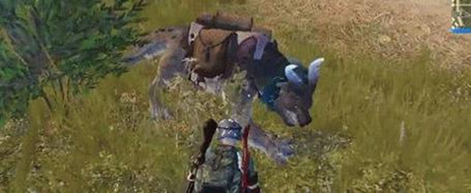 和平精英宝藏年兽在哪里