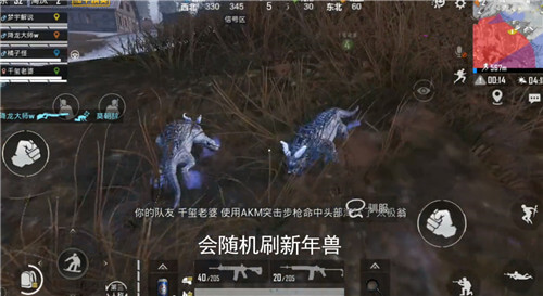 和平精英年兽宝宝在哪里