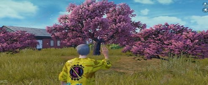 和平精英超甜糖果怎么获得