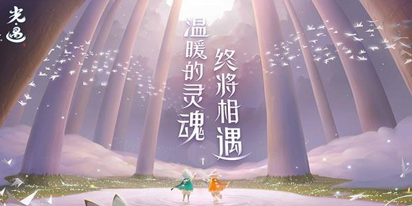 光遇雨林躲猫猫先祖在哪里