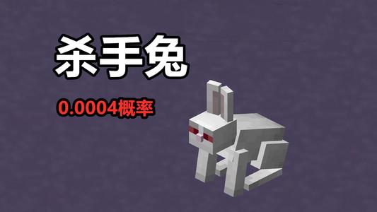 我的世界杀手兔的指令是什么