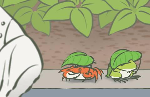 旅行青蛙青蛙多久回来一次_旅行青蛙要走多久才回家