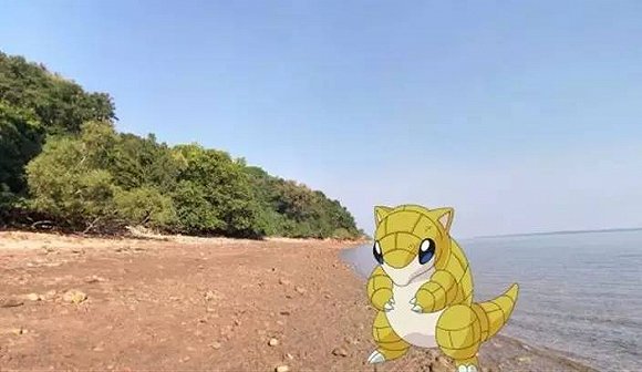 嘘！别吓跑了我的皮卡丘