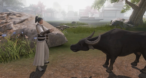 楚留香金陵夺宝战怎么玩_楚留香金陵夺宝战玩法攻略