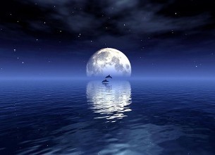 适合中秋节玩的游戏