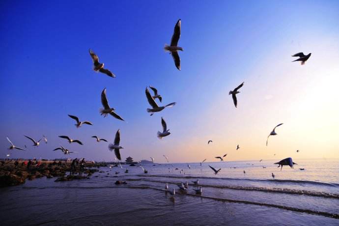 3733手机游戏公益服