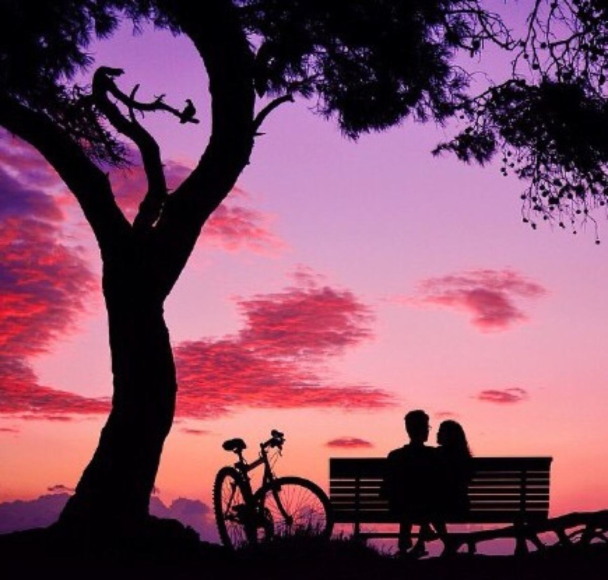 初次聊天话术900句