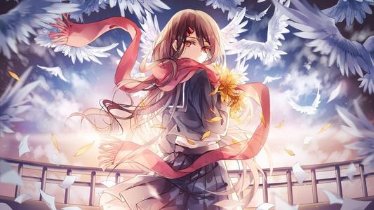 上线送vip的盒子