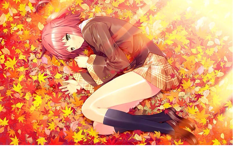 gm助手免费权限