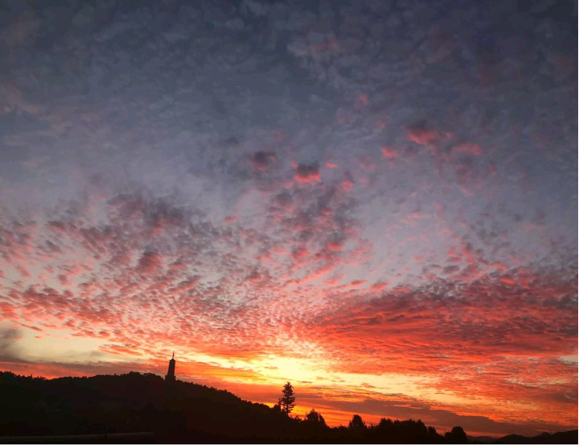 玩的人最多的回合制手游