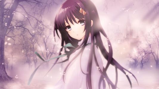 免费无限金币钻石游戏