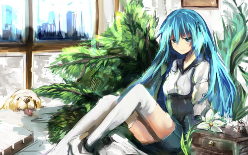 和女孩子聊天的软件助手